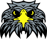 Discover 110 birds eagle head
