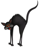 Discover Black Cat Scardy Cat Fraidy Cat Halloween Black