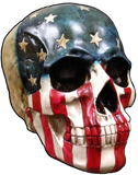 Discover Photo - painted Red White and Blue realistic skull