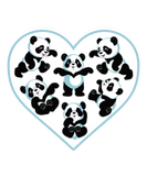 Discover Heart Bamboo Panda Spirit Animal Bear Black And