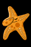 Discover Dabbing Starfish Sea Star Beach Dab Dance