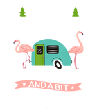 Discover Camper Queen Classy Sassy And A Bit Smart Assy T-shirt Camping RV Flamingo Trailer