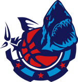 Discover basketball club shark logo design 2 802