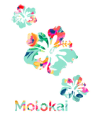 Discover Molokai Hawaii Surf Hawaiian Hibiscus Hawaiian Flowers T-Shirt T-Shirts