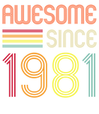 Discover Awesome Since 1981 40th Birthday Retro T-Shirt