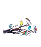 Discover Just A Girl Who Loves Birds Birding Bird TShirt