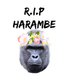 Discover R.I.P Harambe Snapchat Flower Filter