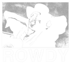 Discover Rowdy - Hank Williams Jr - T-Shirt