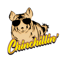Discover COMIC Chinchillin