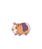 Discover Anatomy Of A Furry Potato Guinea Pig Lover Gift T-Shirt