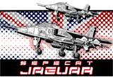 Discover SEPECAT Jaguar fighterjet