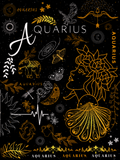 Discover Aquarius Zodiac Design Horoscope Design