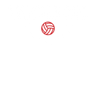 Discover Women's Wisconsin Volleyball Team T-Shirt