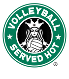 Discover Funny Volleyball Logo Design T Shirt