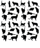 Discover Black cat Pattern t shirt black cat
