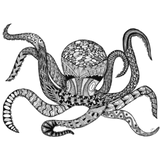Discover Black and white octopus