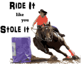 Discover Barrel Racer: Ride It