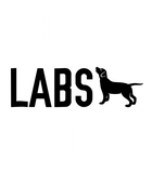 Discover Black labs Matter Dog T-shirt Labrador Retriever T Shirt