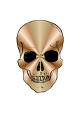 Discover skull gradient