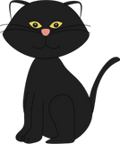 Discover BLACK CAT