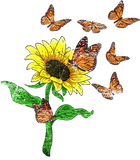 Discover Flower Blossom Butterflies Nature Butterfly Sunflower T-Shirt