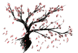 Discover Glo -Cherry blossom