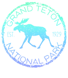 Discover Grand Teton National Park Weathered Moose Design Souvenir T-Shirt