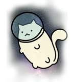 Discover Cute cat in space