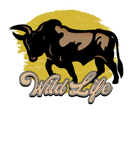Discover Bull wild life