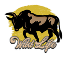 Discover Bull wild life
