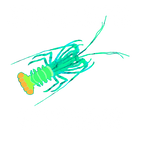Discover Spiny Lobster Whisperer Crustacean Lobstering Seafood Mudbug T-Shirt