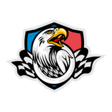 Discover head eagle with checkered flag sport logo mascot