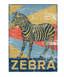 Discover Zebra rectangle color