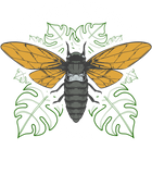 Discover Men's T Shirt Cicada Brood X 2021