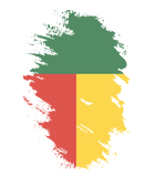 Discover Flag of Benin T Shirt