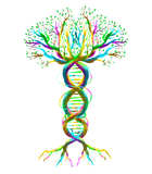 Discover Cool DNA Tree | Funny Plant Genealogy Student Lover Gift T-Shirt