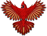 Discover Beadwork Cardinal