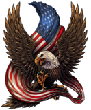Discover Bald Eagle American Flag