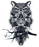 Discover Owl on a branch - wisdom, wisdom