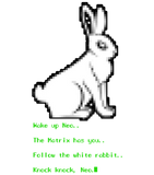 Discover Wake up Neo, Follow the White Rabbit - The Matrix - T-Shirt
