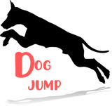Discover Dog Jump