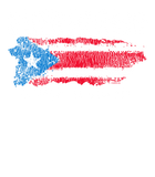 Discover Puerto Rico Island Flag T Shirt