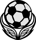 Discover wing logo soccer sports 0