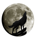 Discover Howling Wolf Midnight Full Moon Wildlife Nature Animal T Shirt
