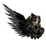 Discover strange owl art