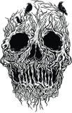 Discover Funny Tree Branches skull shape