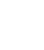 Discover Goku Super Saiyan training T-shirt