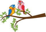 Discover birds love, beautiful birds on tree branch