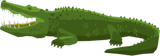 Discover crocodile