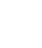 Discover Y2K Survivor Year 2000 Funny Graphic I Survived - 90s Rap - T-Shirt